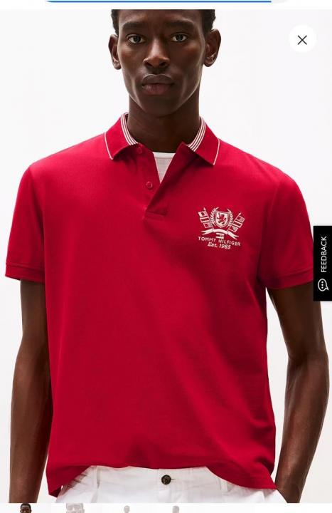 Tommy Hilfiger Rust Embroidery Work Premium Polo T-Shirt